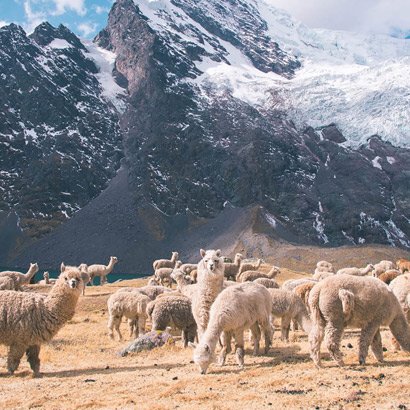 Everest Basecamp Trek